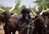 Bauchi Governor on the ‘Stateless’ Fulani