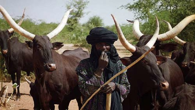 Bauchi Governor on the ‘Stateless’ Fulani