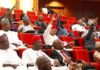 Nigerians Kick as Senate Introduces Bill Prescribing Death Penalty for ‘Hate Speech’