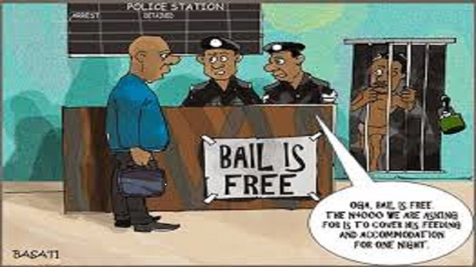 All you need to know about bail