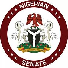 Senate wants NDDC’s N4.9 billion refunded; indicts Niger Delta Ministry