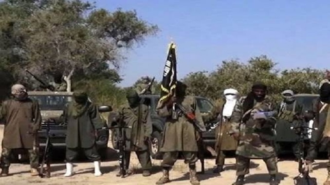 Bloody: 75 Borno elders slaughtered by Boko Haram in one night; young men lined up and shot – Senator