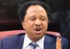 How Buhari can end Southern Kaduna, Northern Nigeria security challenges – Shehu Sani