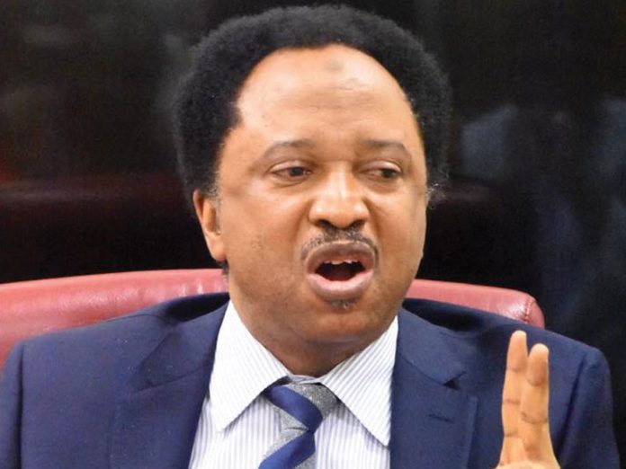 How Buhari can end Southern Kaduna, Northern Nigeria security challenges – Shehu Sani