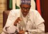 Fuel subsidy withdrawal: FG to distribute 2,000 buses to cushion effects on transportation
