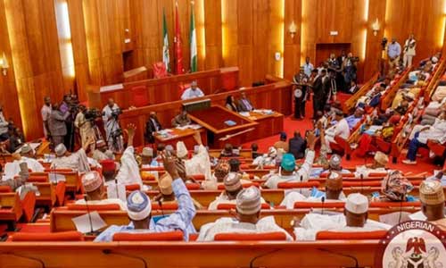 Senate To NESG: Don’t Mislead Nigerians On New Banking Act