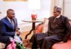 Buhari Reopens Border for Dangote, Keeps it Shut for Other Businesses