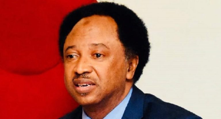 Shehu Sani berates Senate For summoning ‘Brekete Programme’ host Ahmed Isah over Senator Natasha’s interview