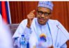 Buhari: We’ll deal with criminals who hijack peaceful protests