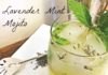 Sparkling Lavender-Mint Limeade