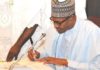 Buhari orders special focus on Banditry in Zamfara