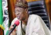 I will Support Amnesty for Bandits, Says Lai Mohammed