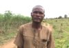 Herdsmen uprooted my N5m cassava farm for their cows to eat –Oyo farmer