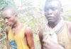 Suspects arrested in Osun reveal Benue shallow graves containing wives, 4 others