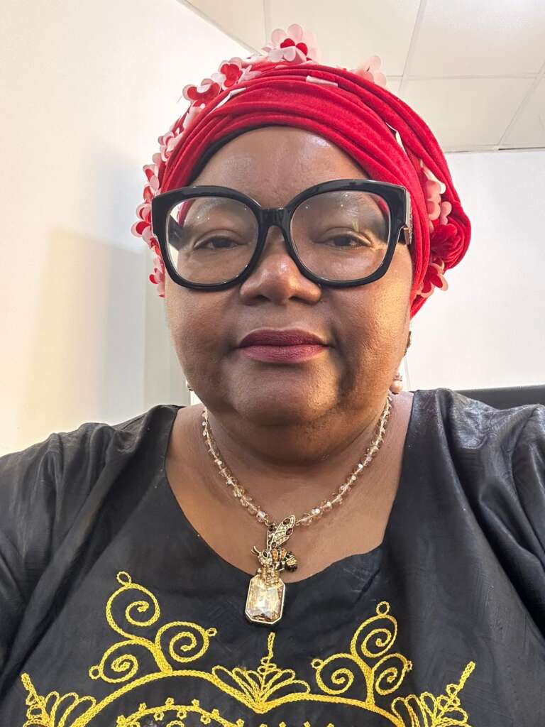 Nigeria is an exemplar of exclusionary politics, Somber Tuesday series by Mojúbàolú Olufúnké Okome