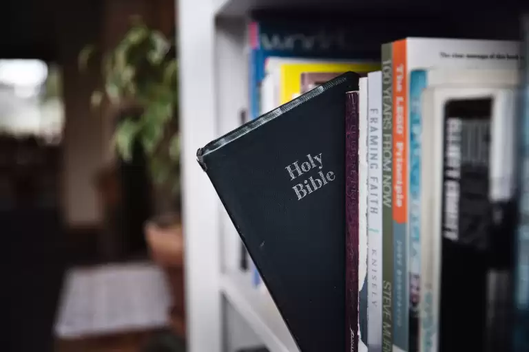 US school district bans Bible for being ‘too vulgar or violent’ for children