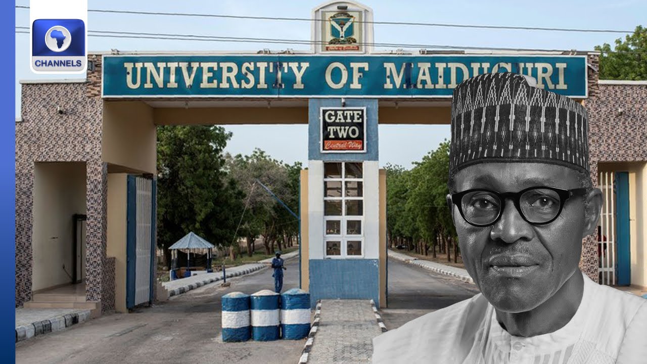 Critique of Renaming University of Maiduguri to “Muhammadu Buhari University”