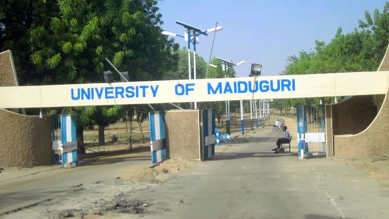 Just In: Tinubu renames University of Maiduguri after Buhari