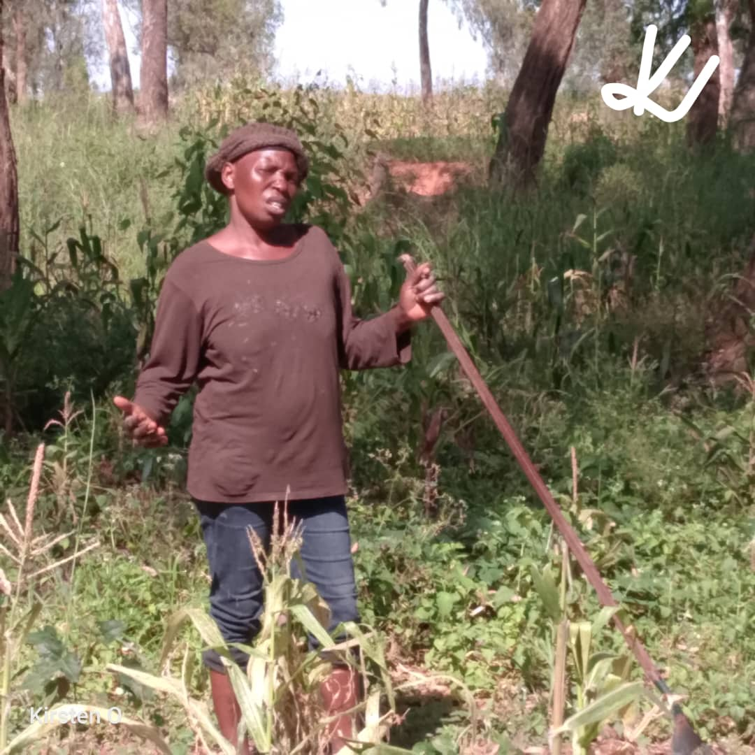 The women who feed Nigeria and why 2026 must change the story