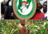 Another Sex-for-Grades Scandal: NANS demands transparent probe into UNIZIK lecturer allegation, renews call to end campus sexual abuse